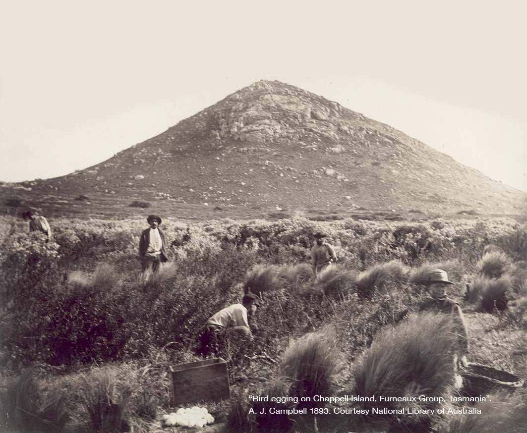 mount chappell island